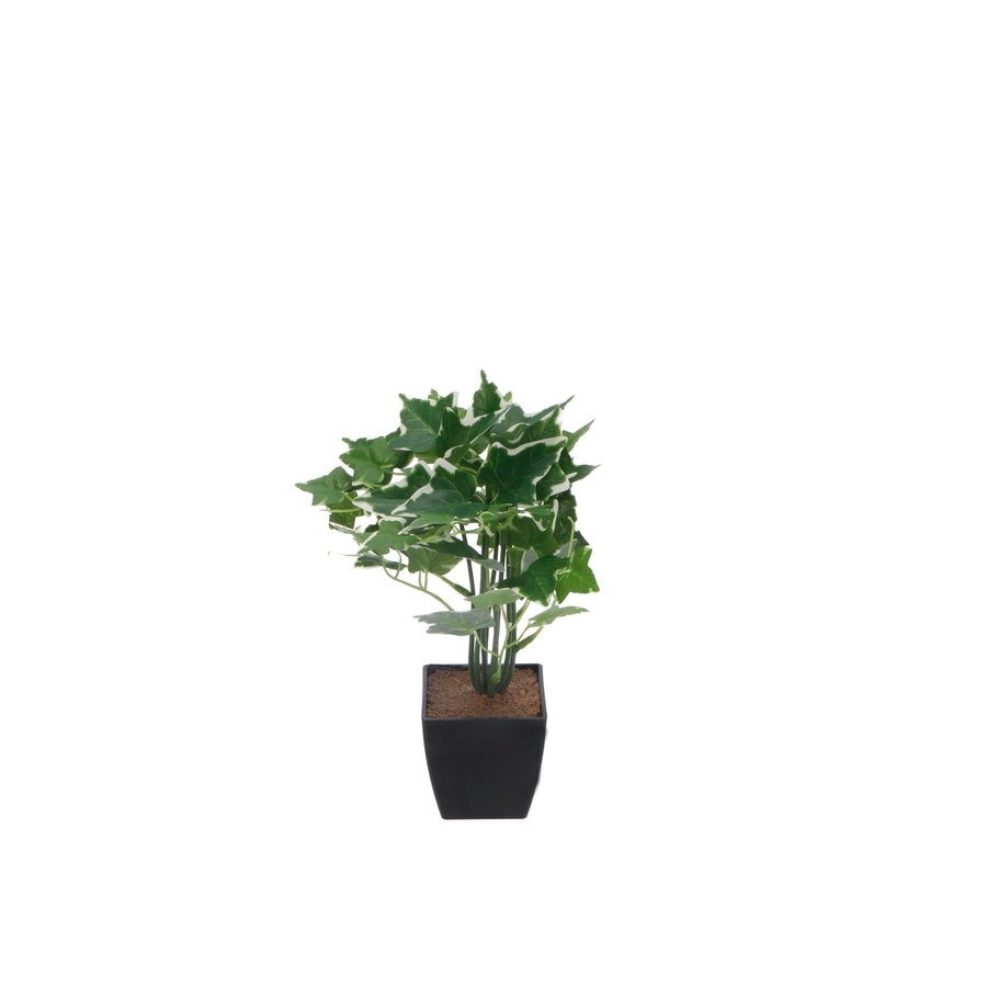 Ad - Vase With Plant 4 models 20ØX26h