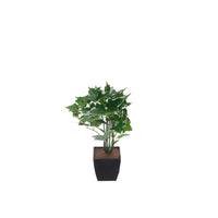 Ad - Vase With Plant 4 models 20ØX26h