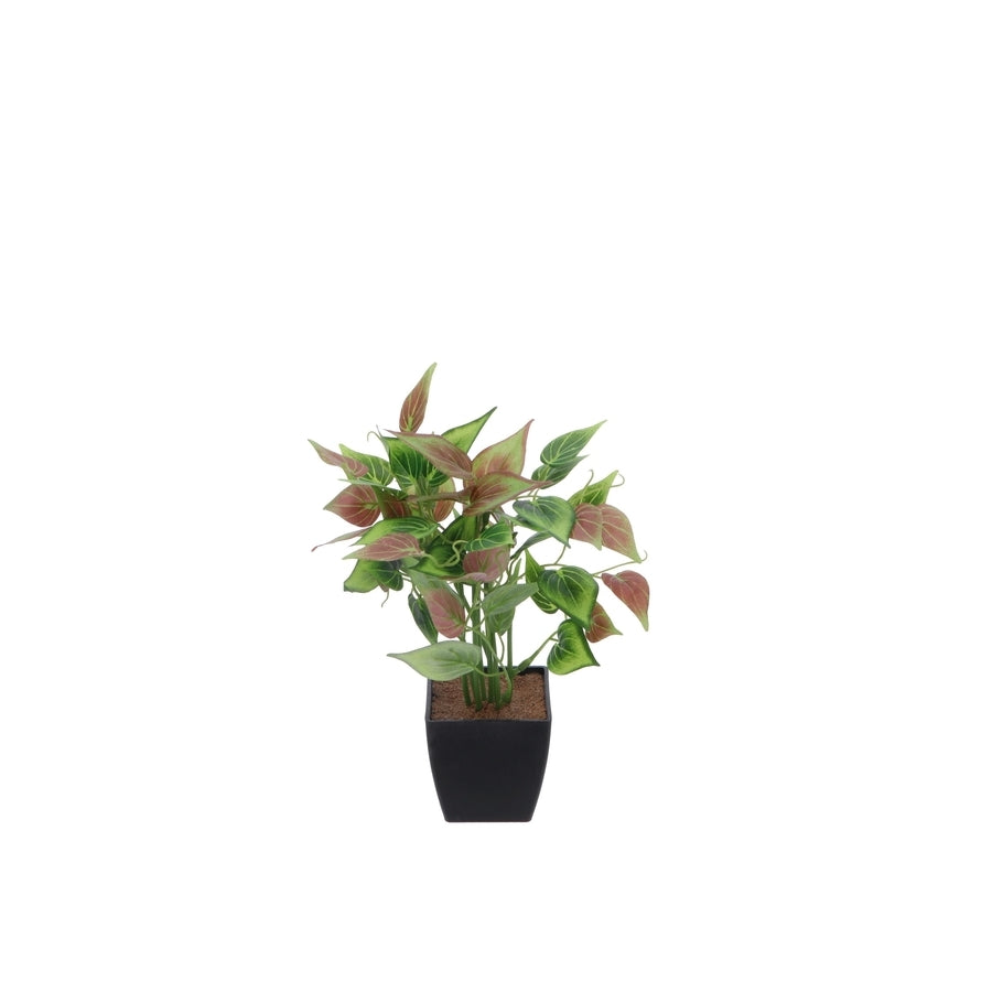 Ad - Vase With Plant 4 models 20ØX26h