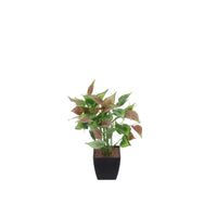 Ad - Vase With Plant 4 models 20ØX26h
