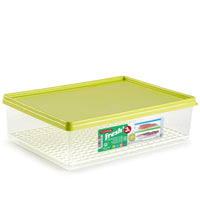 PlasticForte® - Fresh Container With Grid 3L