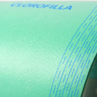 Chlorophyll Insoles
