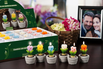 Ad - Candele Giacinto 6 colori D5Xh95