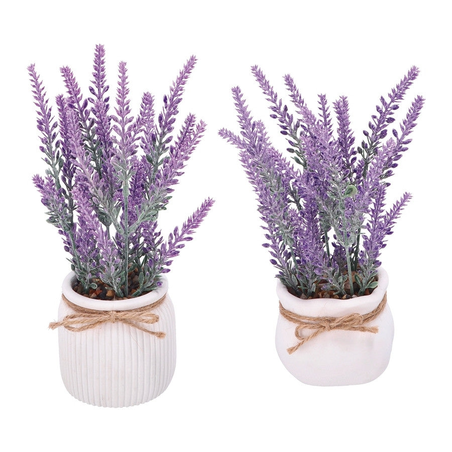 Ad - Vase with Lavender 2 Models Diam9Xh20
