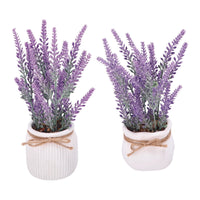 Ad - Vase with Lavender 2 Models Diam9Xh20