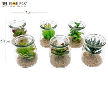 Bel Flowers® Vaso In Vetro Con Pianta Grassa artificiale 85X7X7Cm - Box