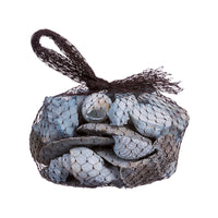 Ad - Pot Pourri Shells For Decorations G300