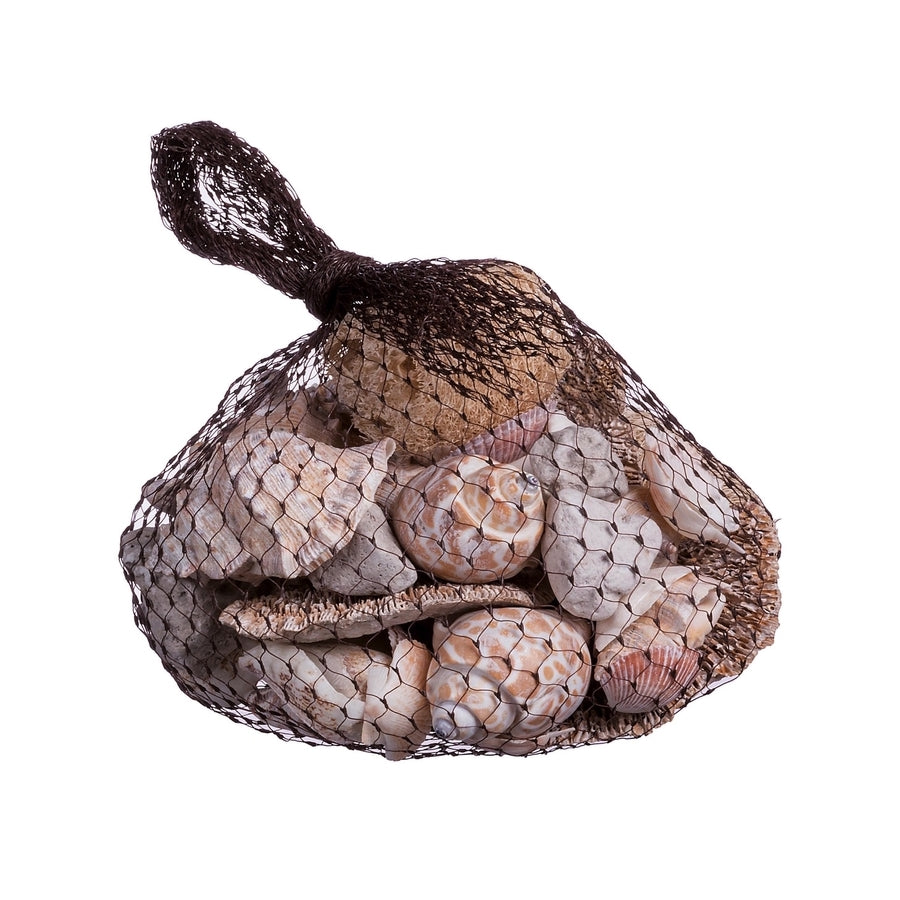 Ad - Pot Pourri Shells For Decorations G300