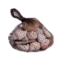 Ad - Pot Pourri Shells For Decorations G300