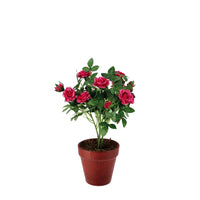 Ad Vaso Con Rose decorativo in 4 Colori Ø28Xh34Cm